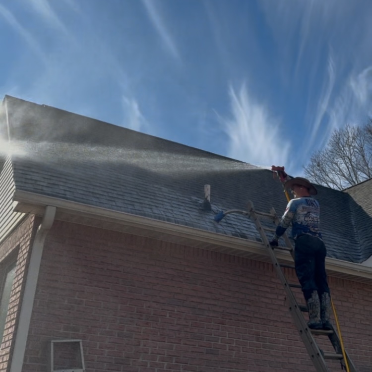 Soft Wash Roof Cleaning - Don't Get Dropped by Your Insurance